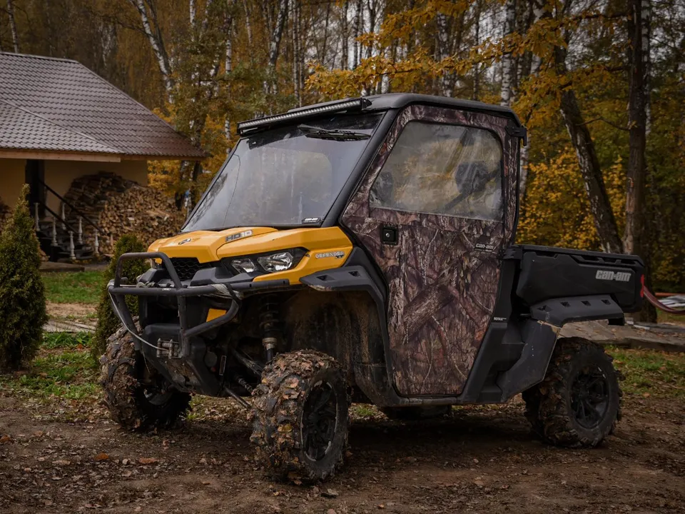 Фото: МедиаБанк Подмосковья/Ольга Антонова