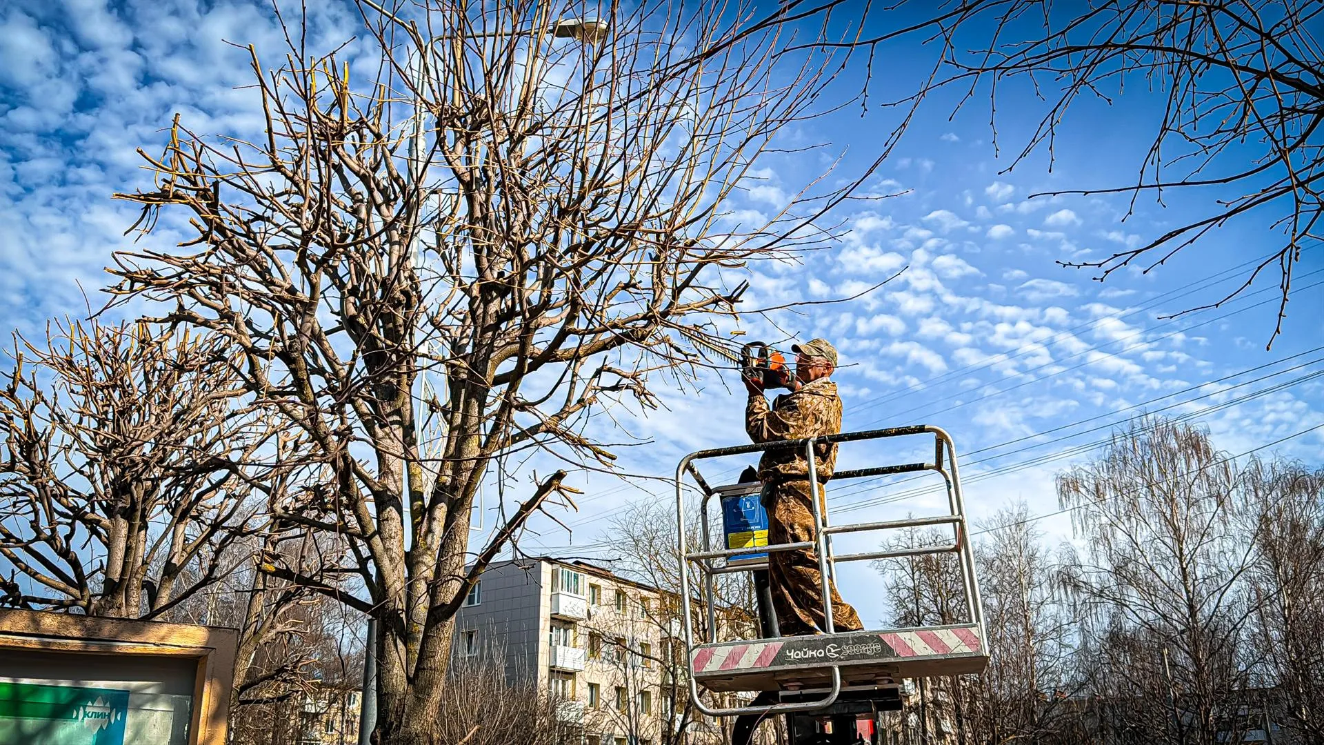 МедиаБанк Подмосковья/Данила Кирьянов