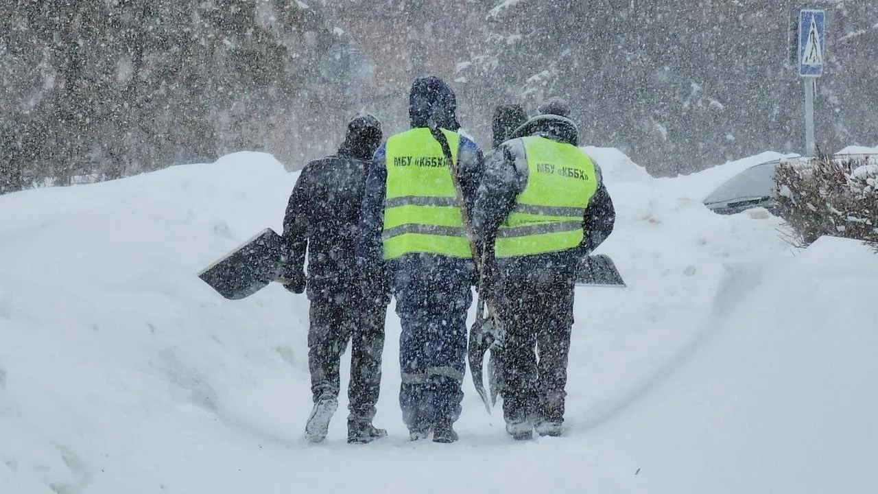 МедиаБанк Подмосковья/Анна Шолохова