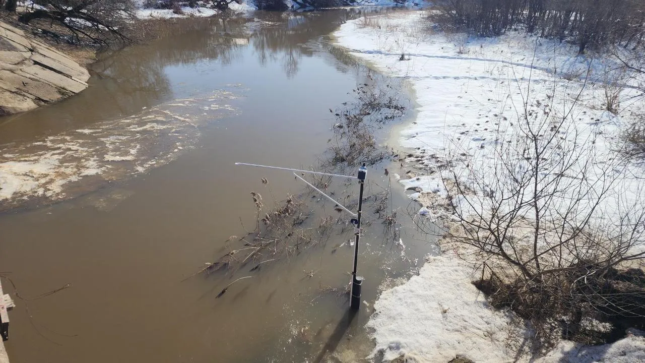 МедиаБанк Подмосковья/Дмитрий Беденко