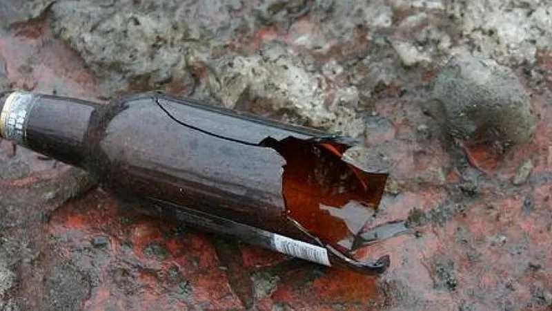 Хулиганы в Кузнечиках разбили авто брошенной из окна бутылкой