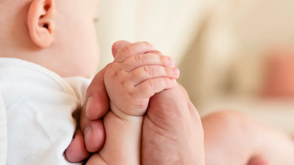 Фото: freepik.com