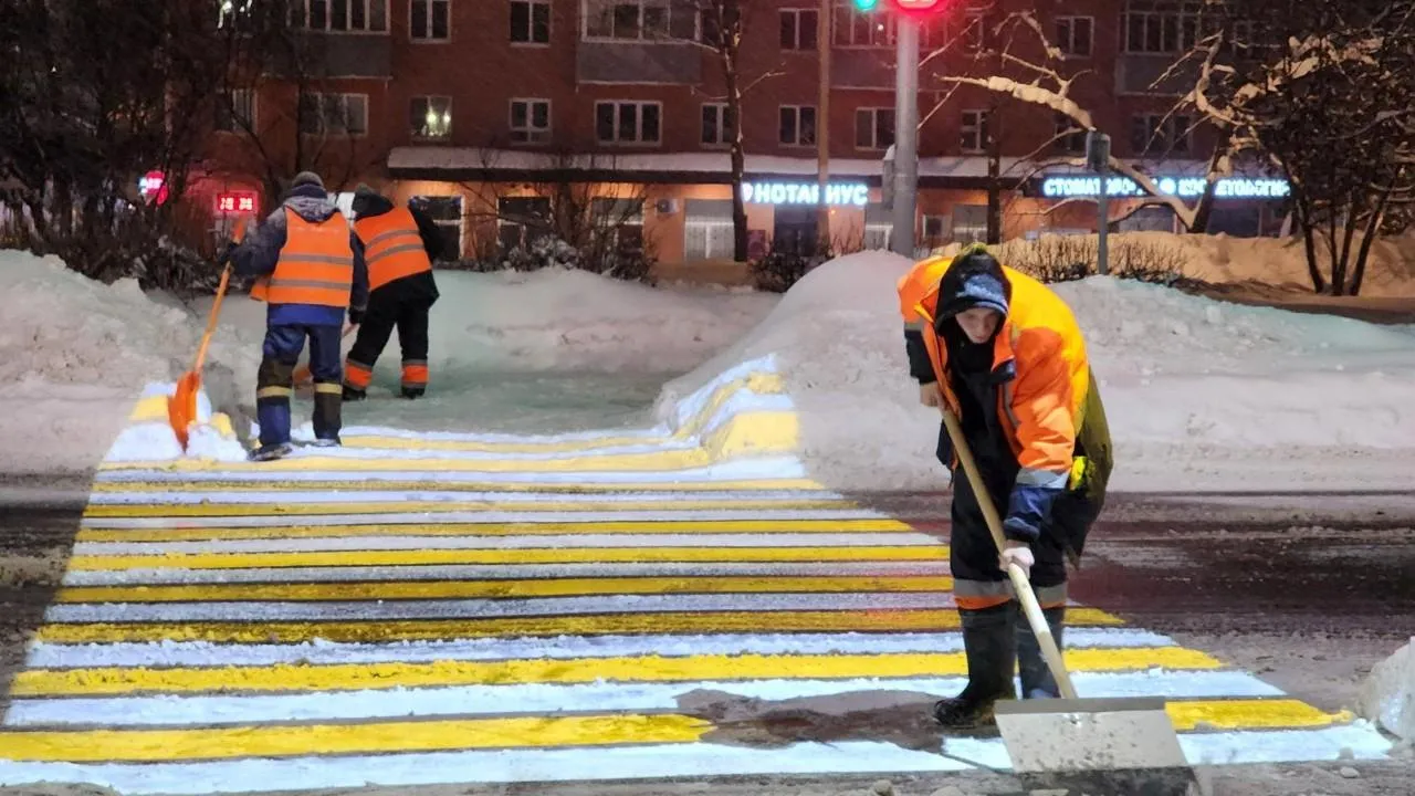 REGIONS/Елена Шумакова