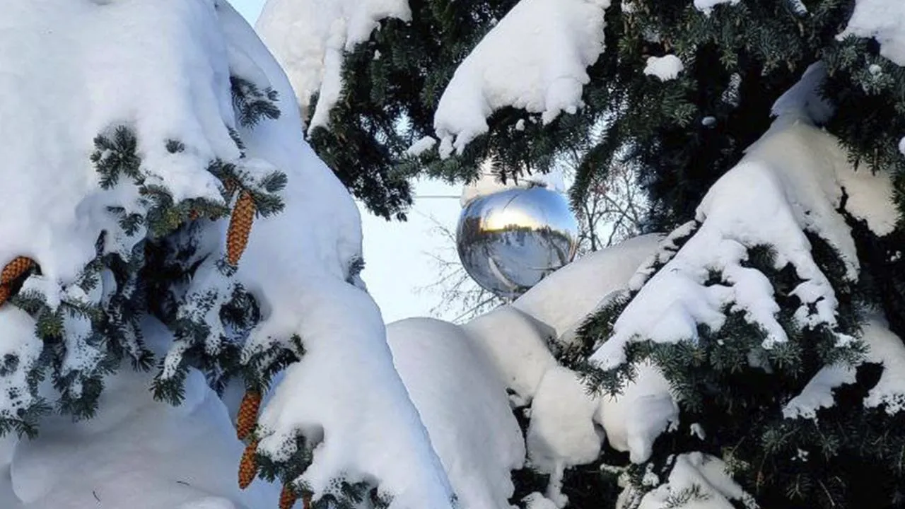 телекомпания «ТВ-Комсет»