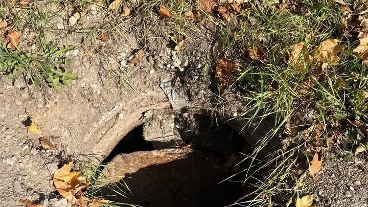 Канал «Подслушано Балашиха»