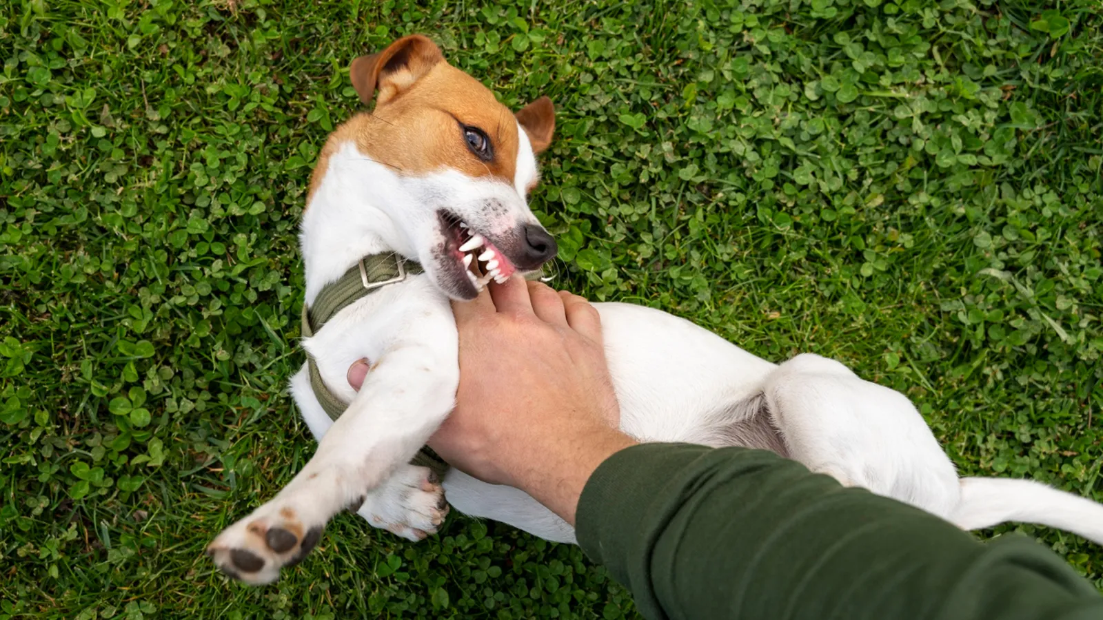 Фото: freepik.com