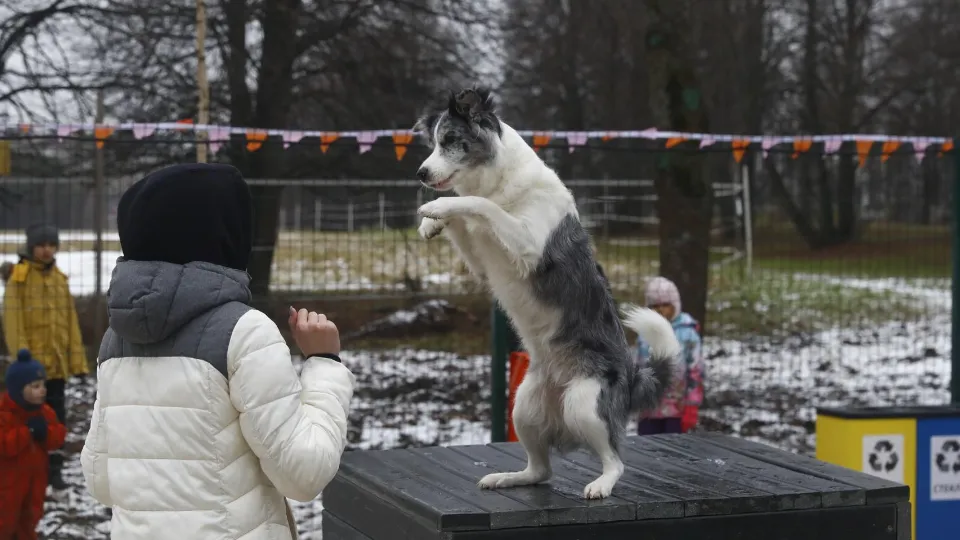 Фото: музей-заповедник «Горки Ленинские»