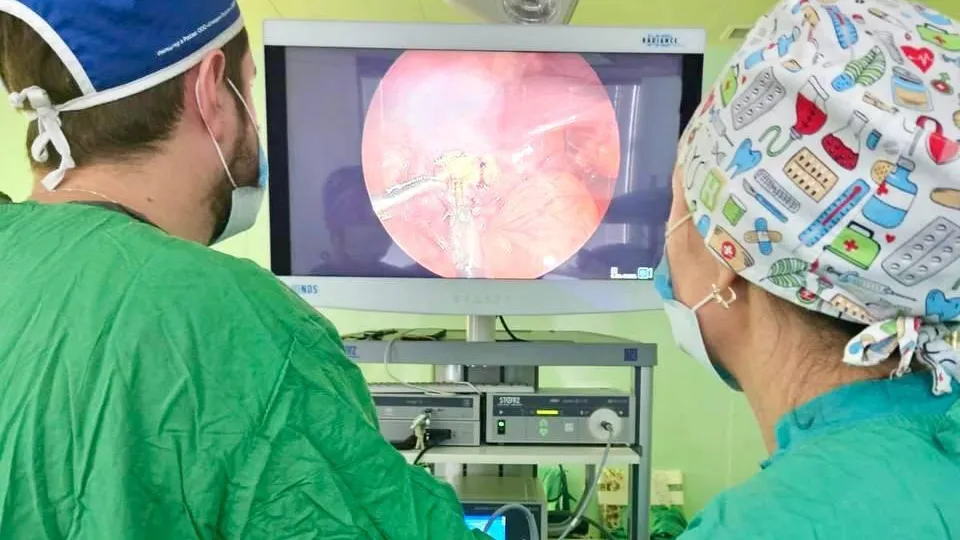 Фото: Министерство здравоохранения Московской области