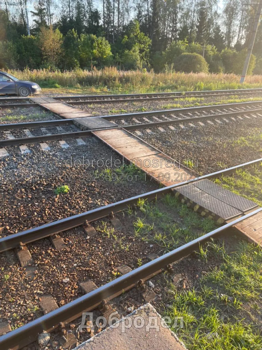 фото: добродел