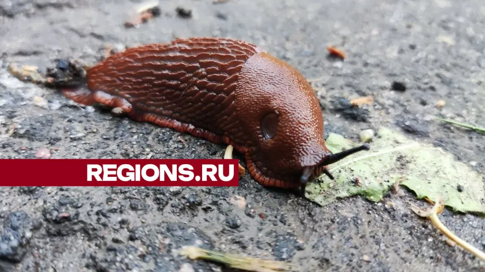 Фото: Екатерина Белякова