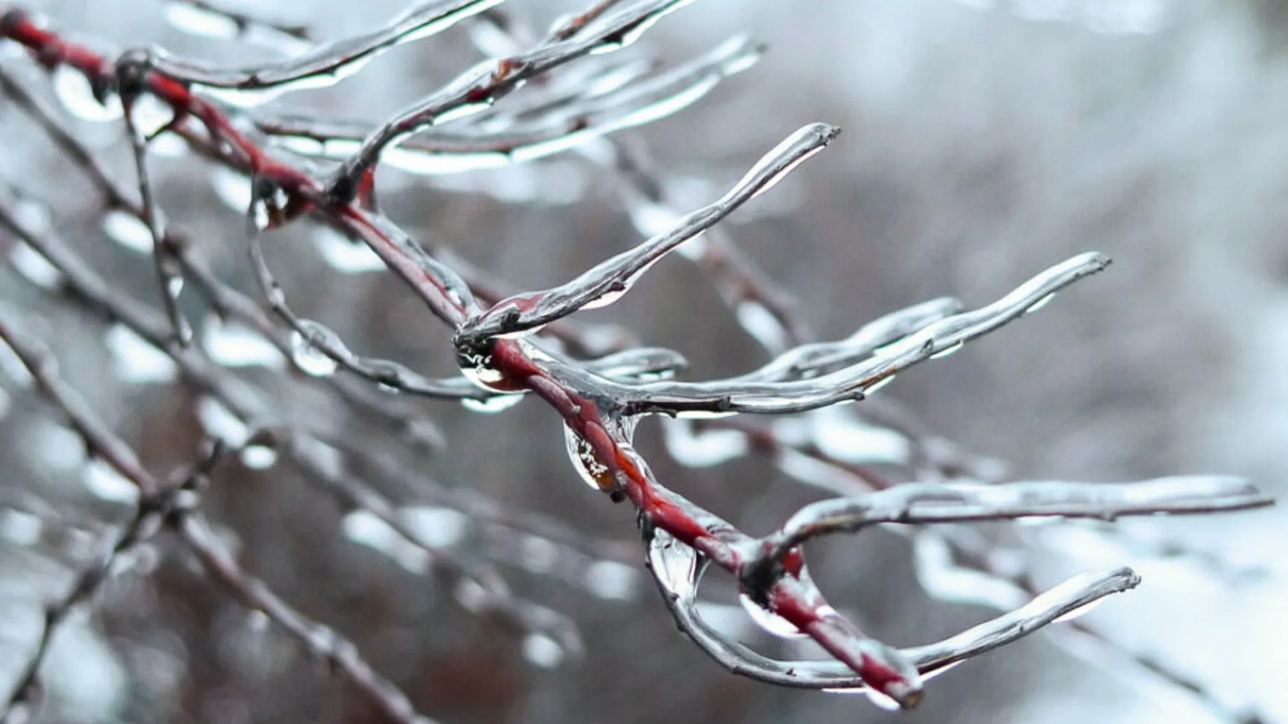 Фото: tainaprirody.ru