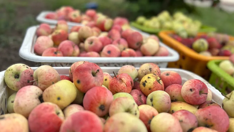 Фото: REGIONS/Юлия Габбасова