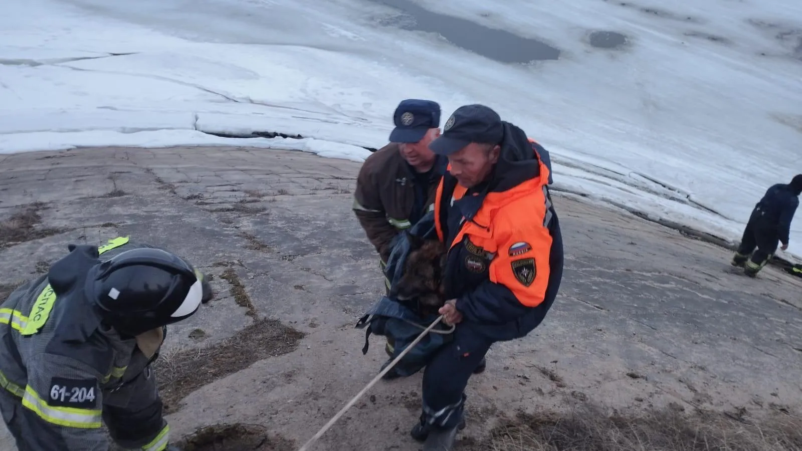 Фото: ГКУ МО «Мособлпожспас»