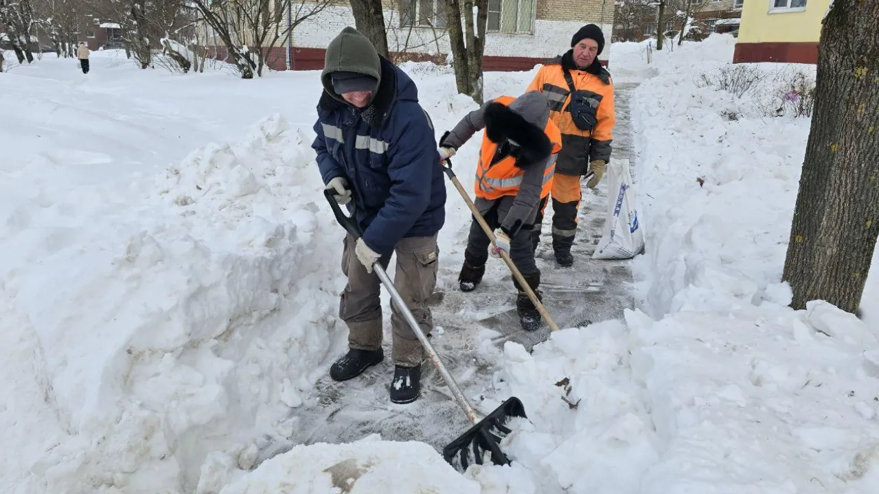 REGIONS/Яна Шаливская