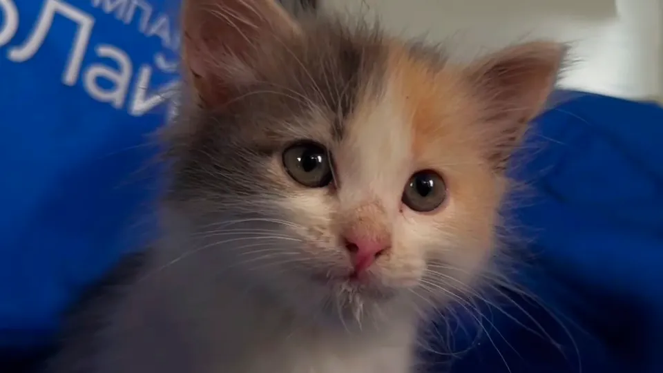 Фото: t.me/kpo_vostok