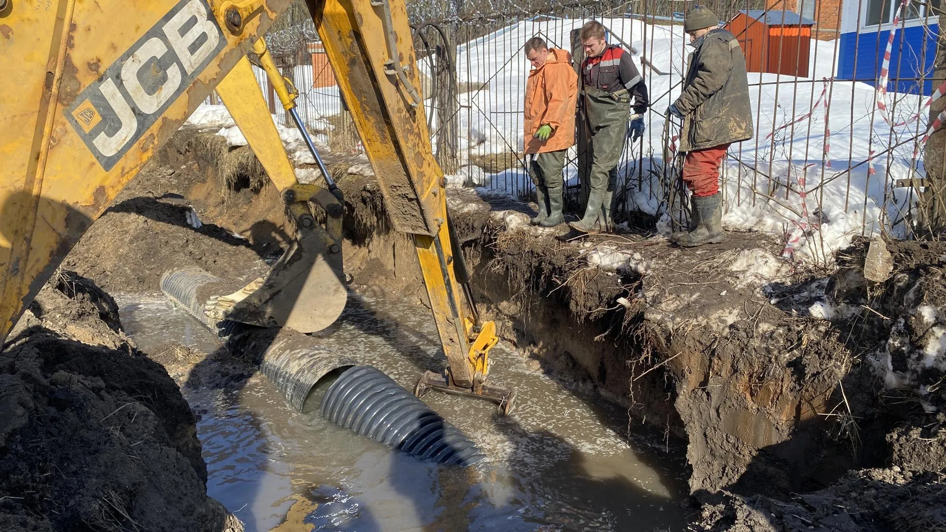 Анна Артюшина