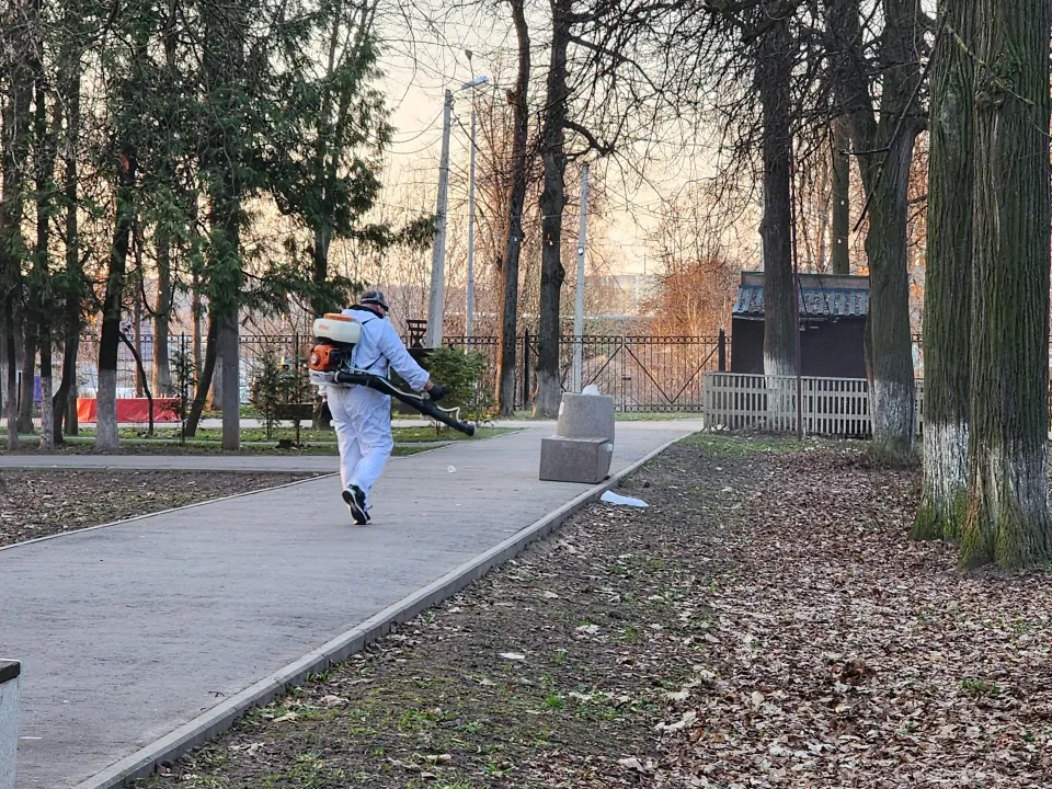 Фото: Анастасия Сараева