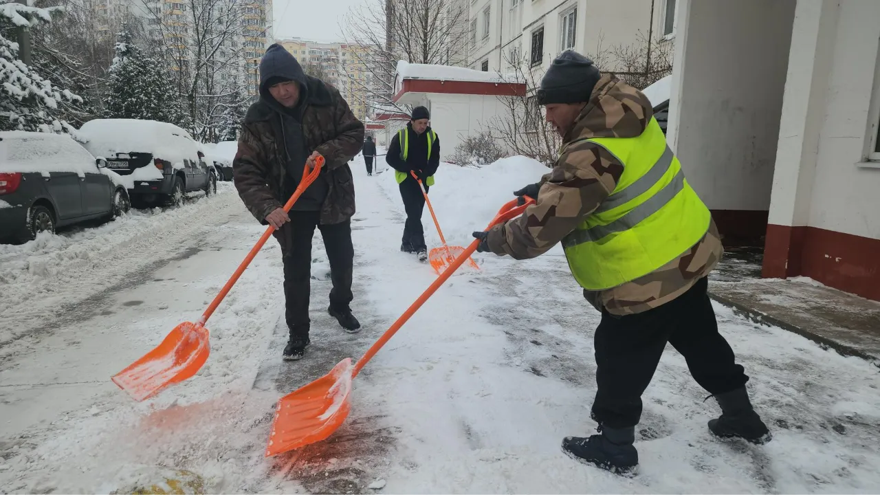 МедиаБанк Подмосковья/Наталья Лымарь