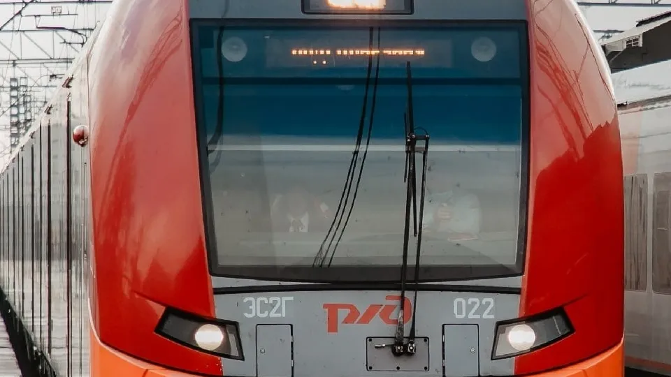 Фото: пресс-служба администрации г.о. Химки