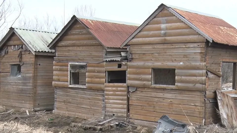 Фото: пресс-служба администрации г.о. Клин