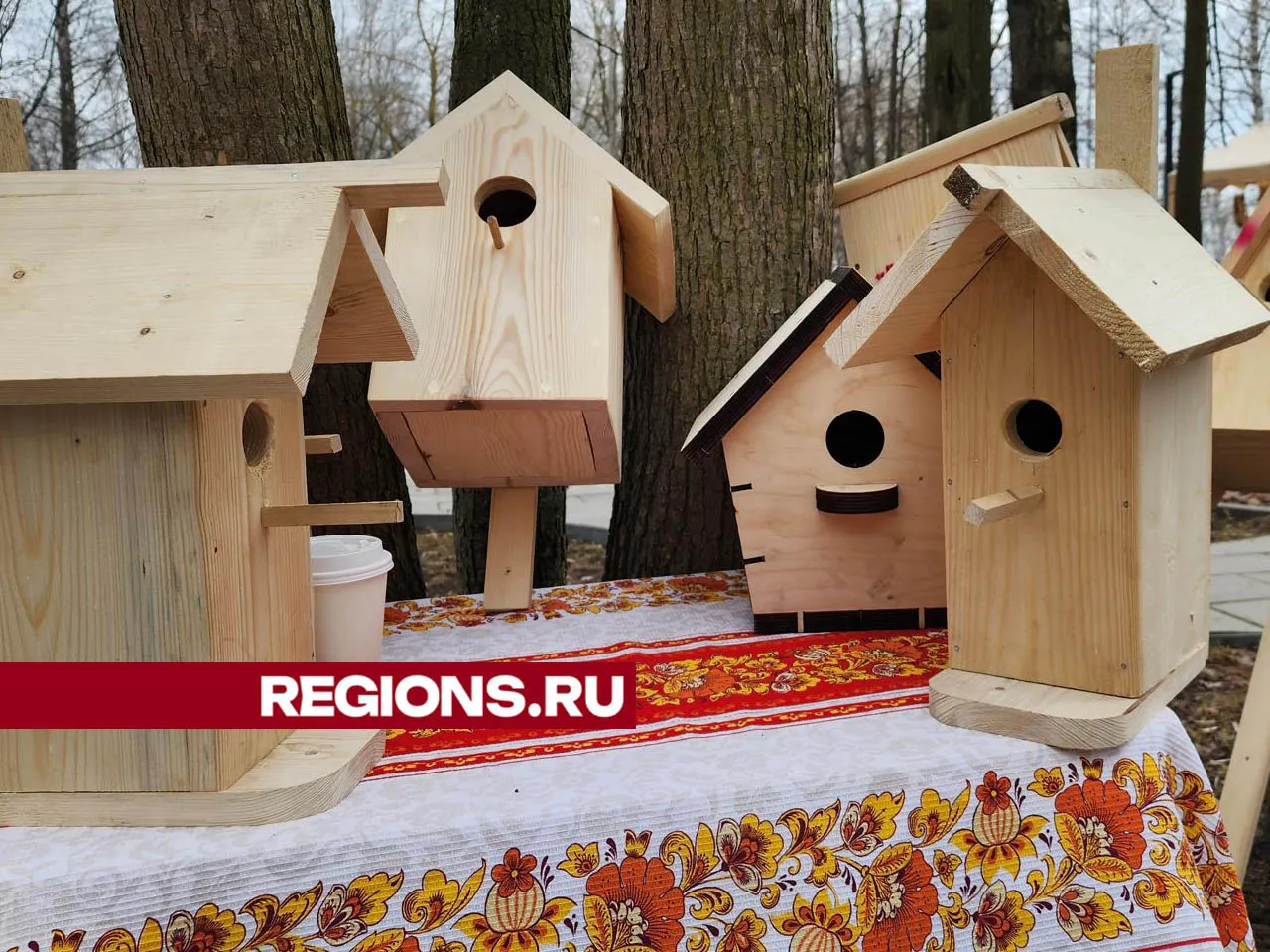 Фото: Валерия Тингаева