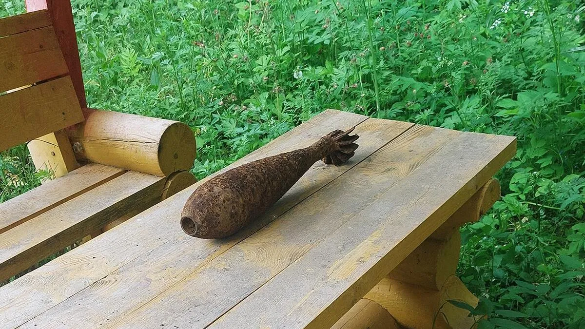 Фото: ГКУ МО «Мособлпожспас»