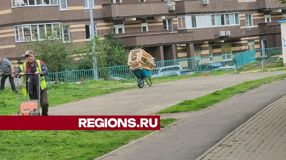 Фото: REGIONS/Михаил Раскин
