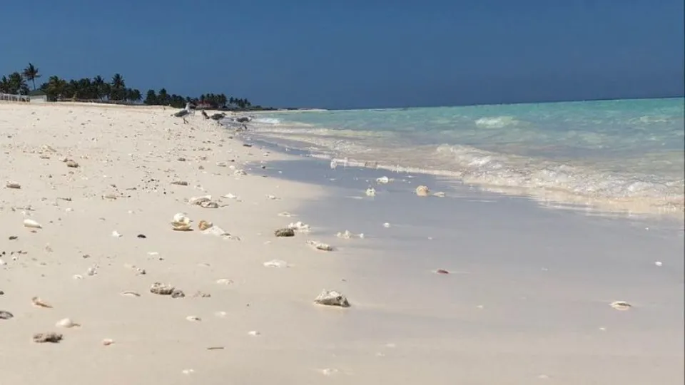 Фото: REGIONS/Ольга Ковалева