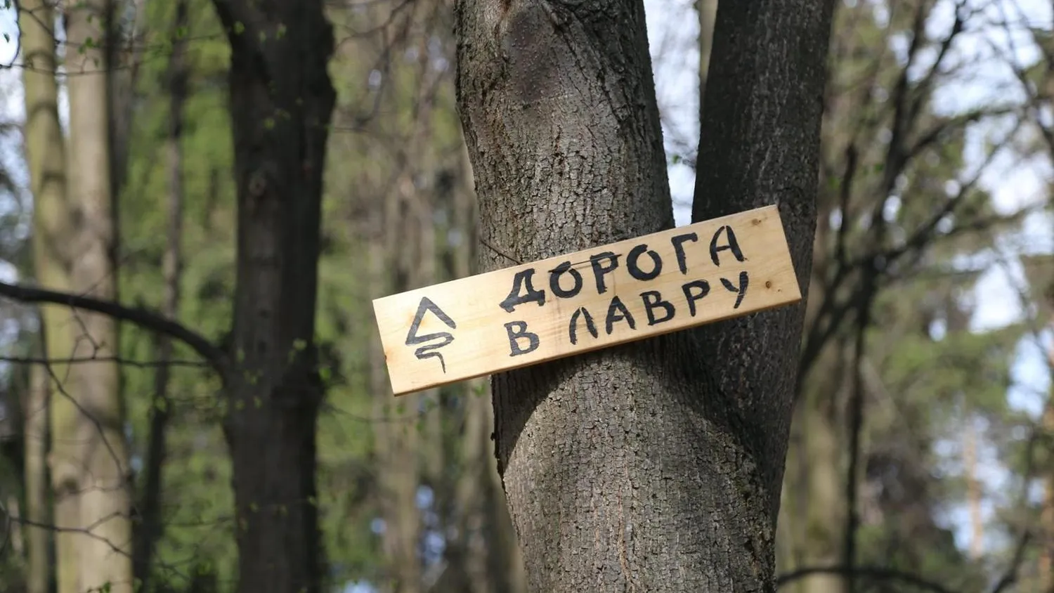 Russian Traveler Awards