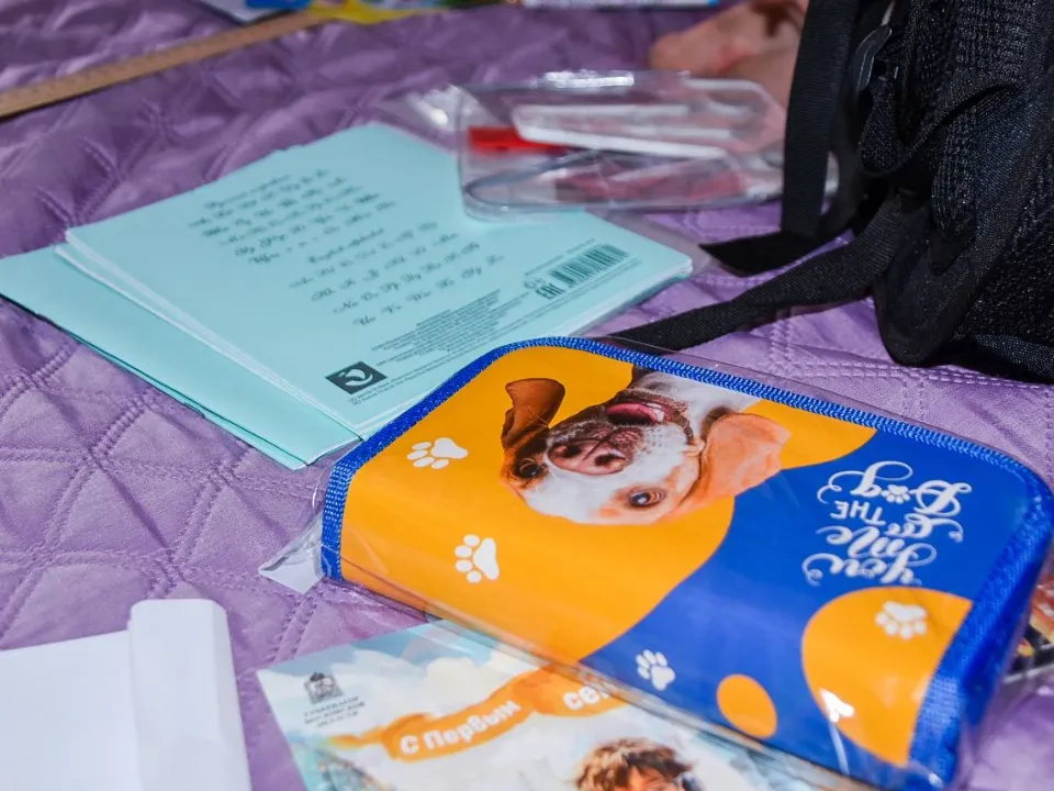 Фото: МедиаБанк Подмосковья/Галина Добрынина