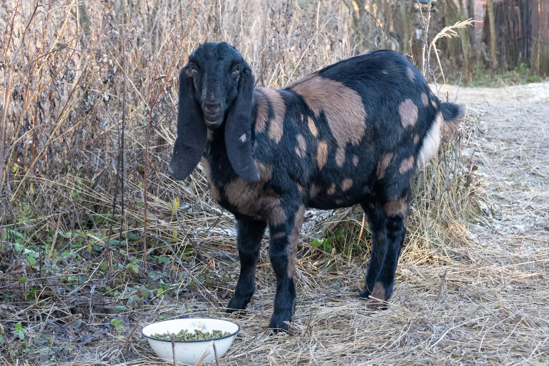 Фото: Евгений Мазепов