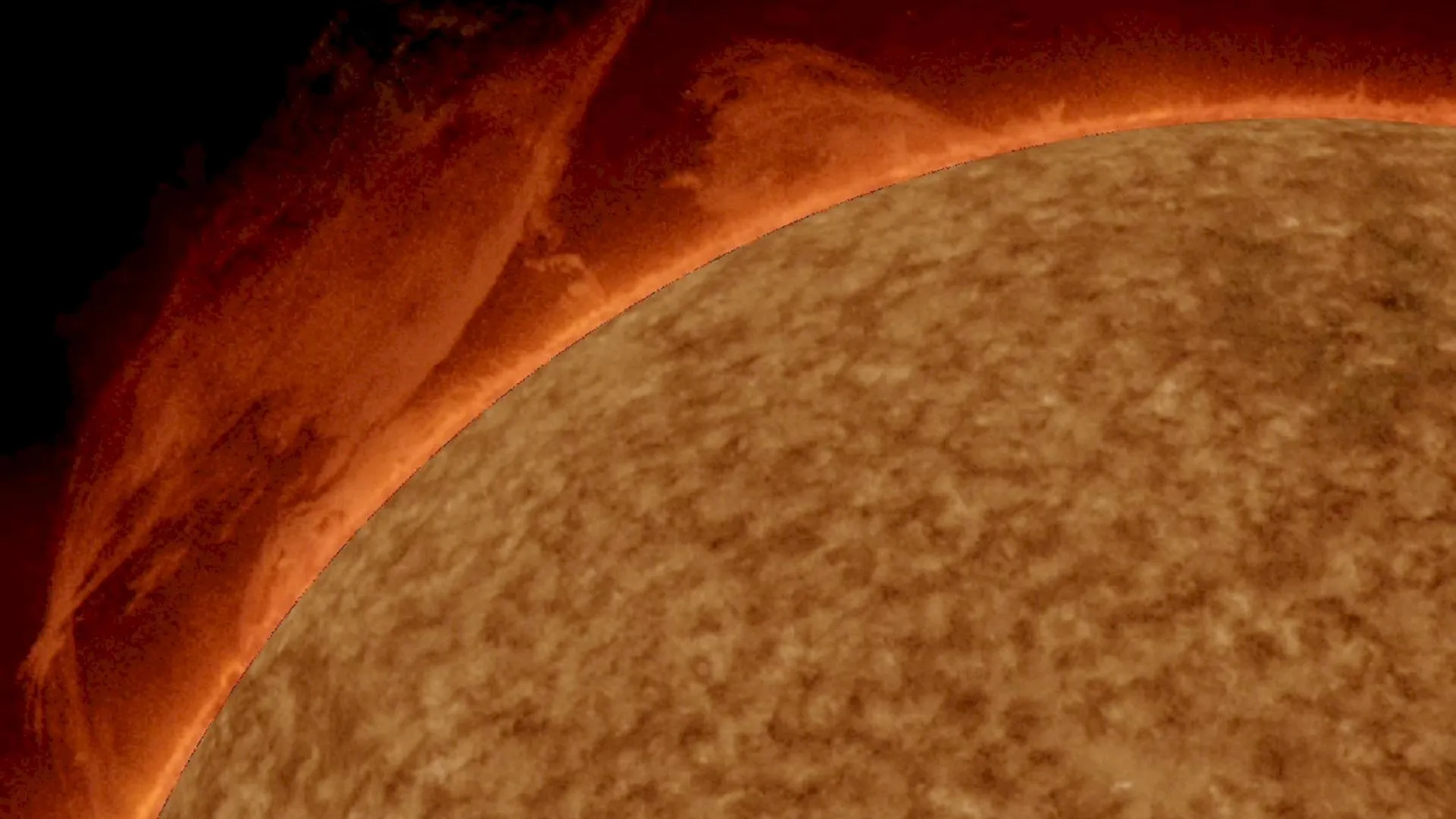 Фото: pxhere.com