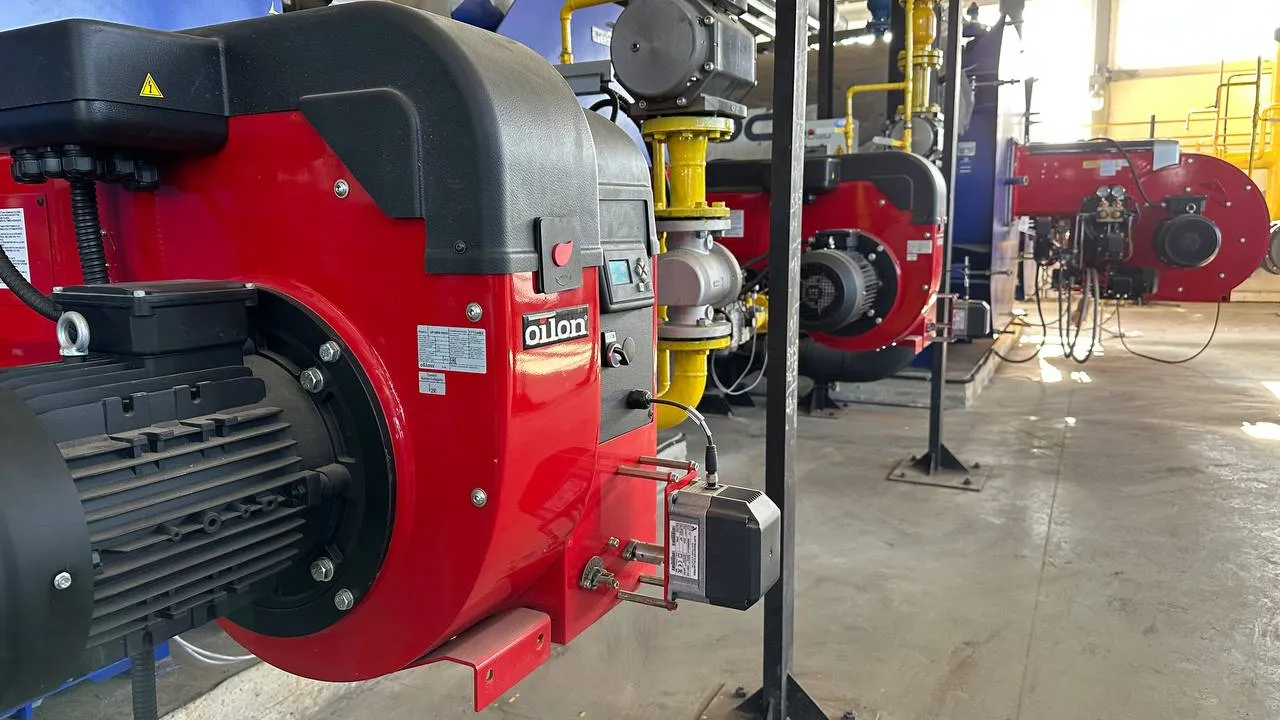 Фото: МедиаБанк Подмосковья/Эдуард Стратонов