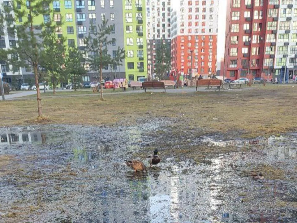 Фото: личный архив Надежды Россейчук