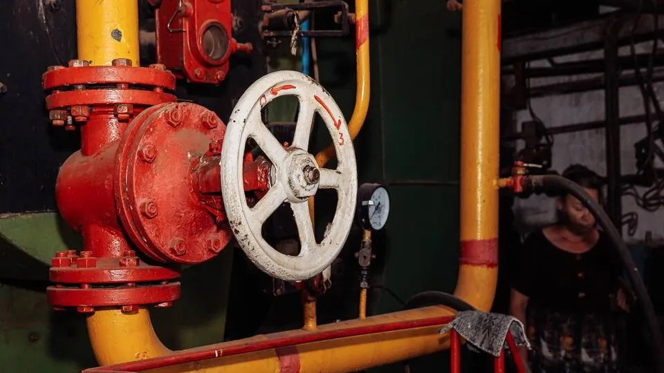 Фото: пресс-служба администрации Орехово-Зуевского округа