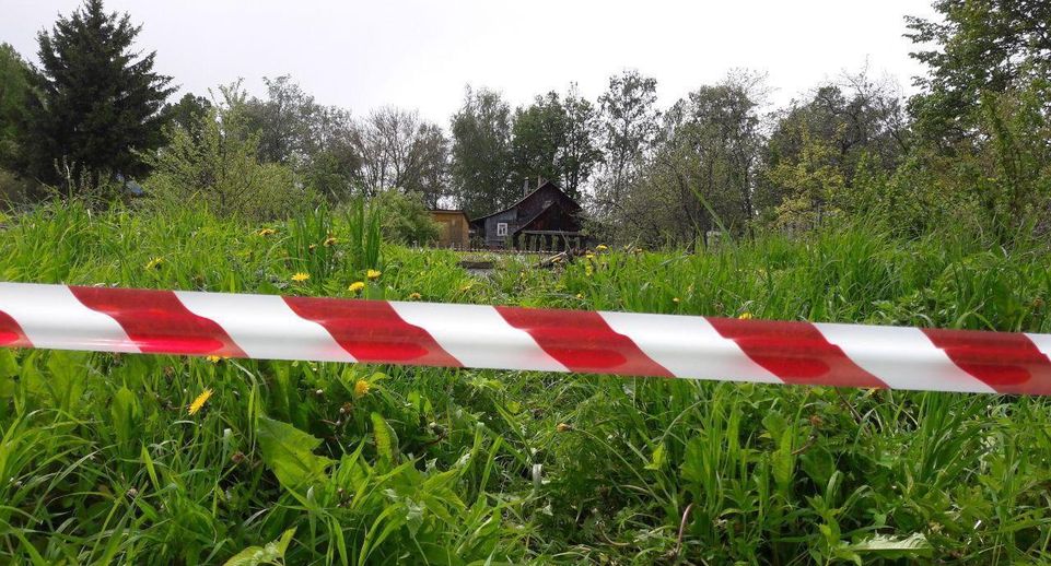 Почти 700 случаев самозахвата земли пресекли в Подмосковье с начала года