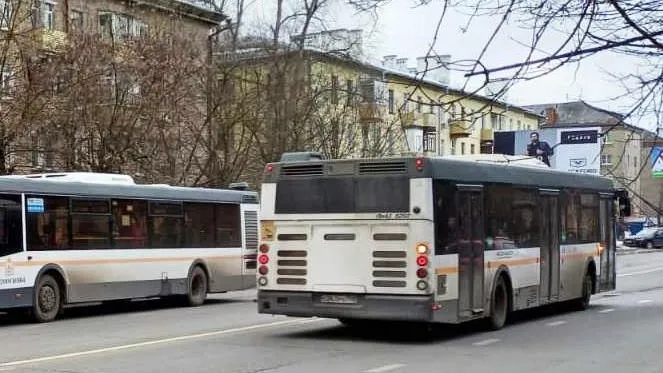 Фото: Нина Басистая