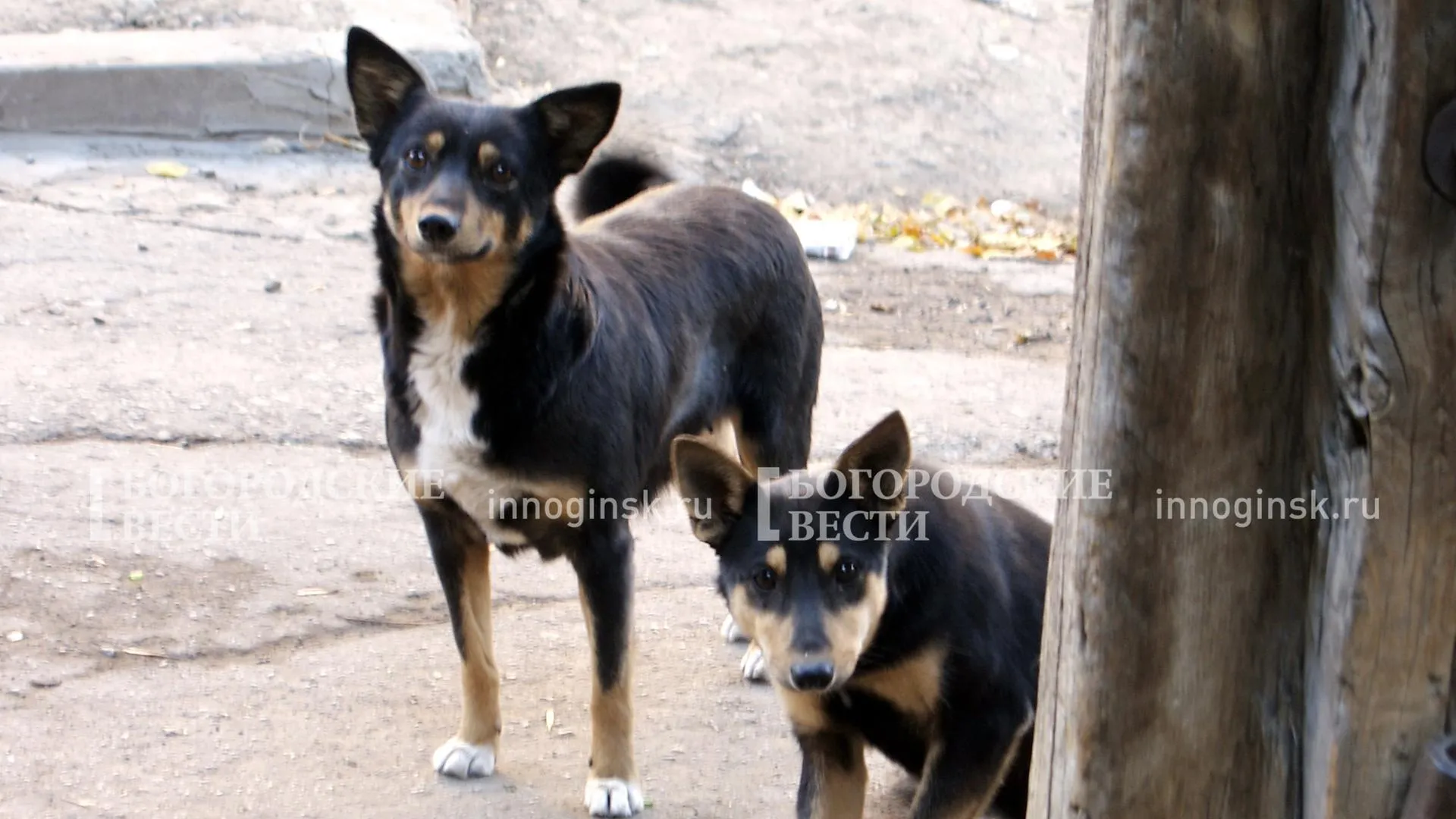 REGIONS/Александр Легкий