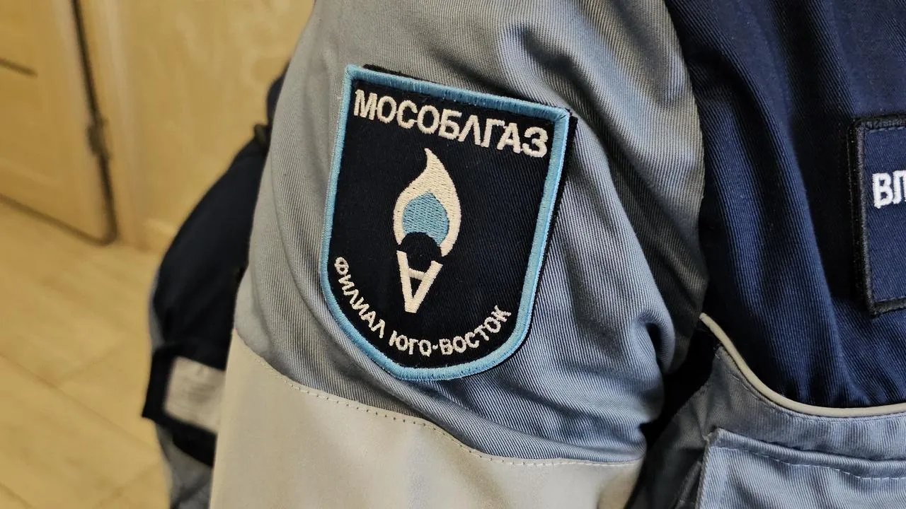 МедиаБанк Подмосковья/Анна Шолохова