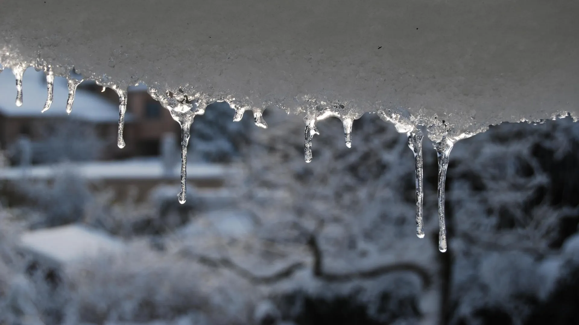 Фото: pxhere.com