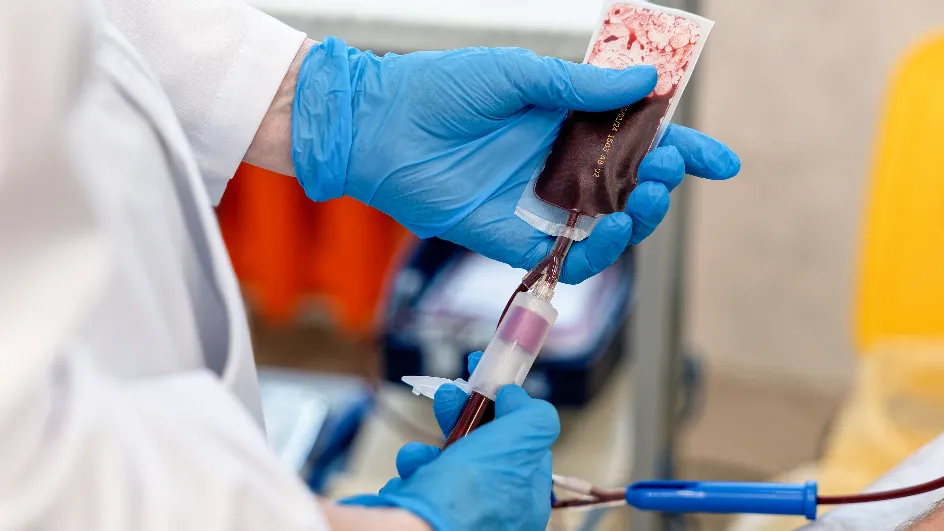 Фото: медиасток.рф