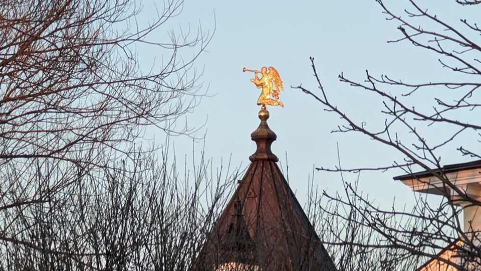 Фото: REGIONS/Алексей Селиверстов