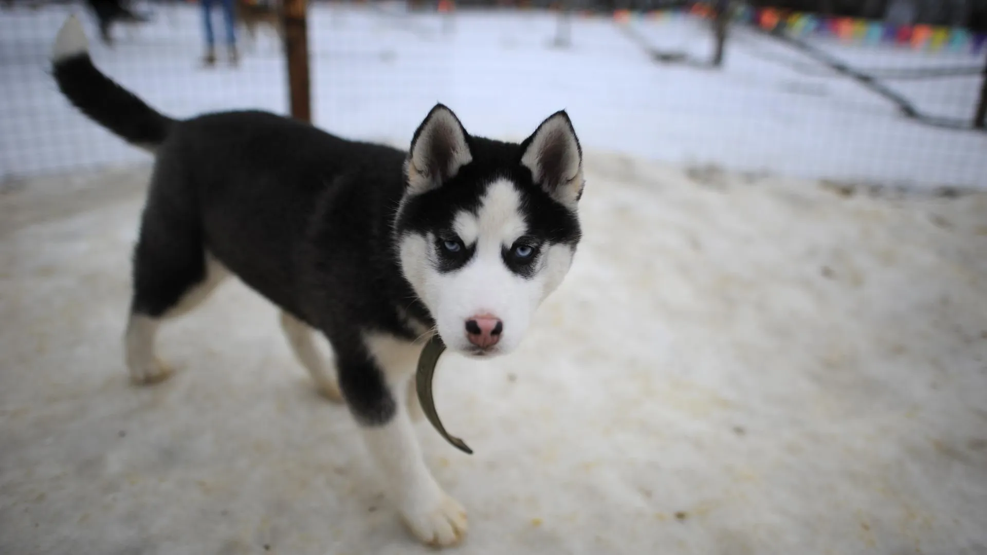 Фото: медиасток.рф
