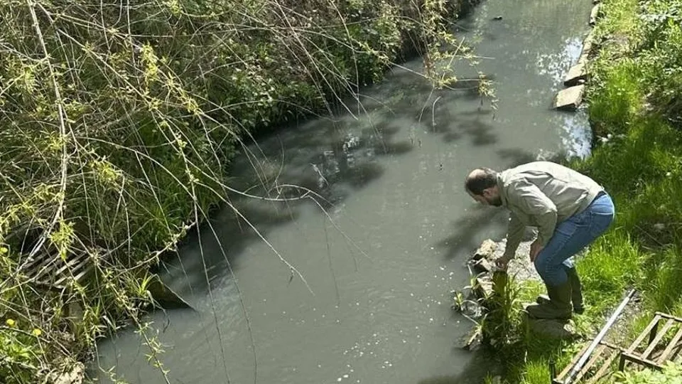 Фото: Минэкологии Московской области