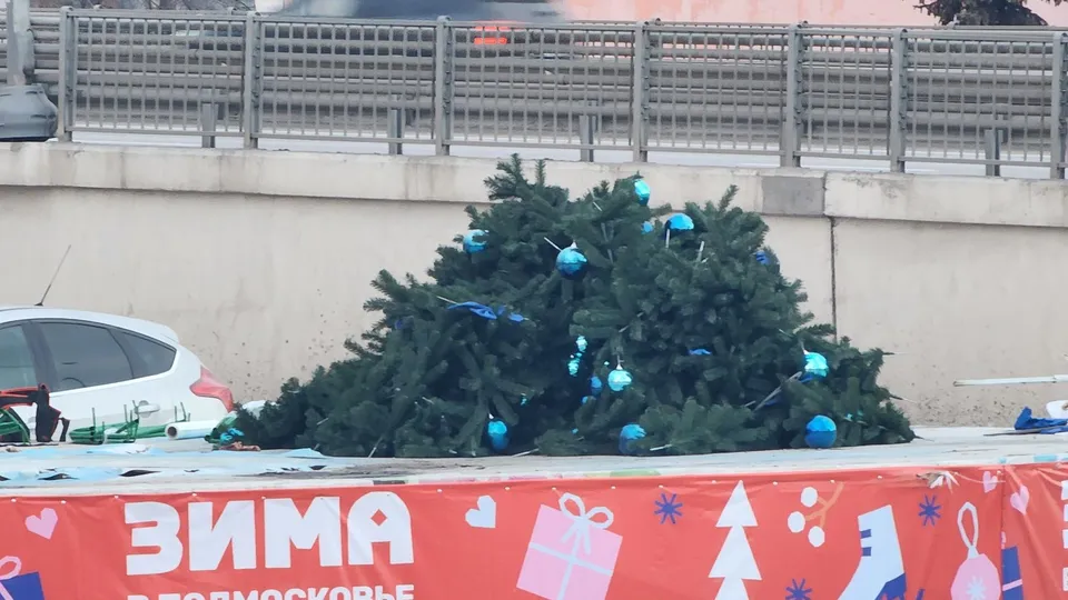 Фото: Услада Дубинина