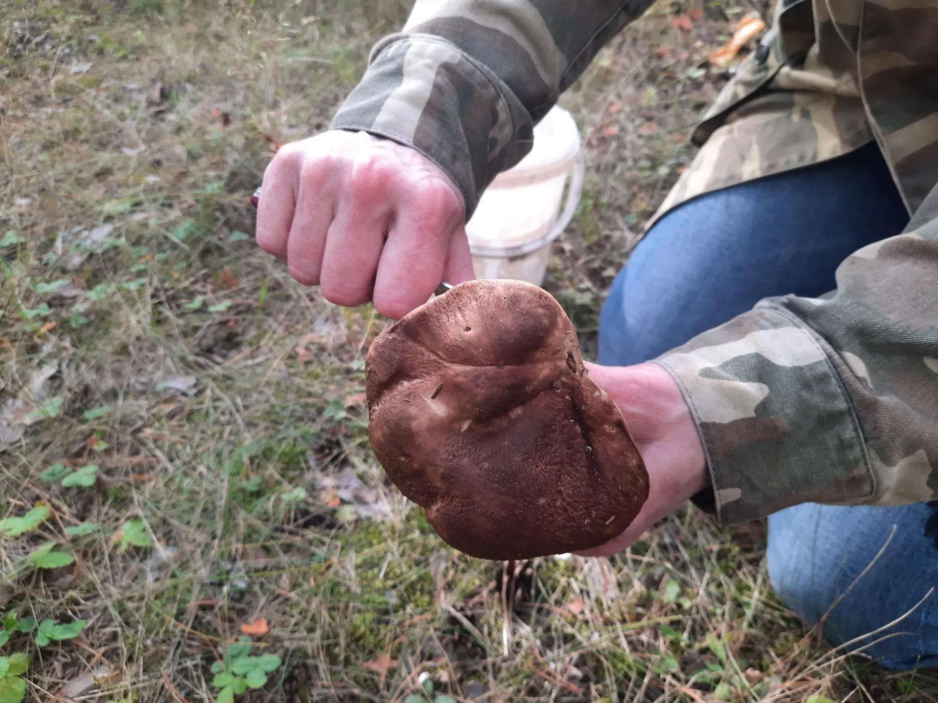 Фото: Михаил Мартыненко