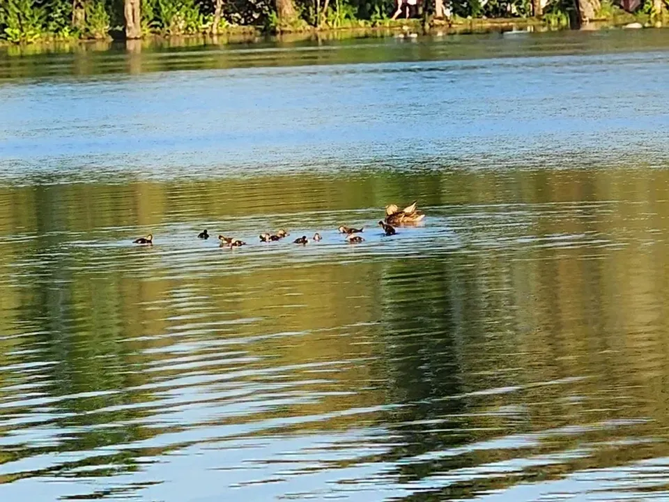 Фото: REGIONS/Наталия Надточая