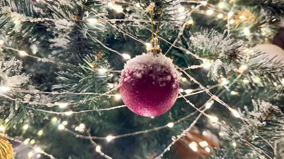 Фото: REGIONS/Роман Малышенко