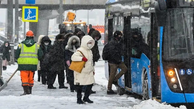 Фото: медиасток.рф