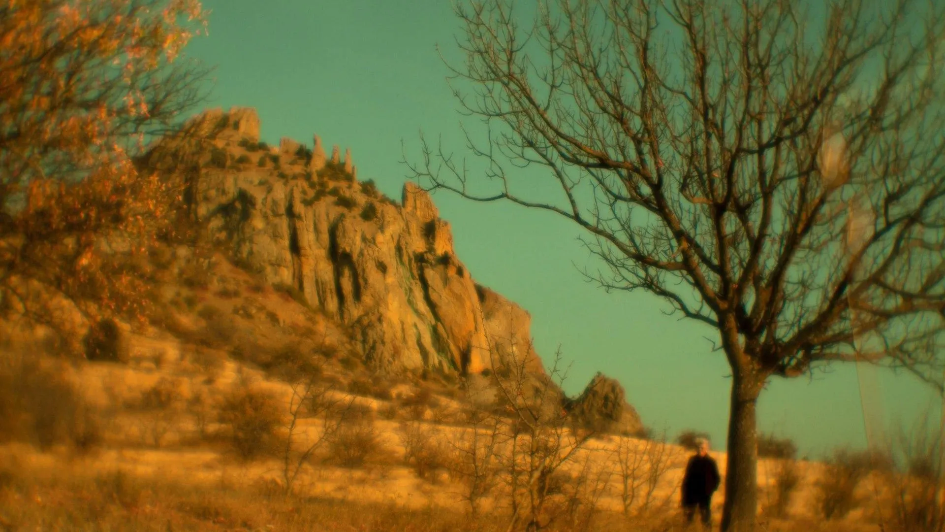 соцсети: ЦКР "Вертикаль" автор фото: Евгения Комарова